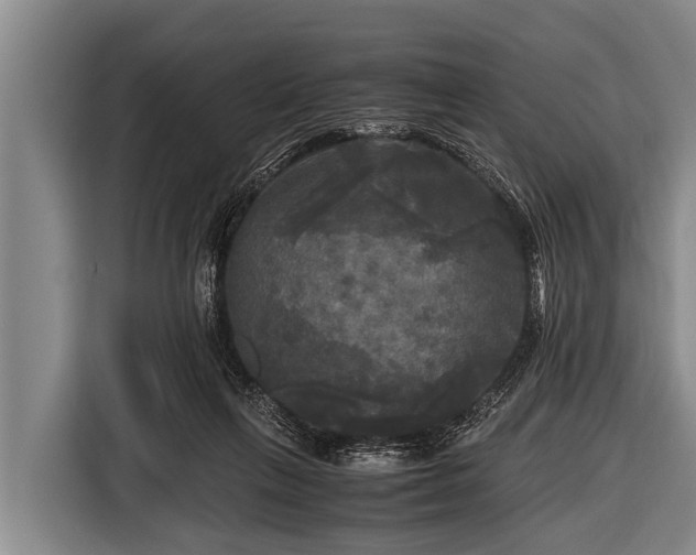 X0000116800263200912241207