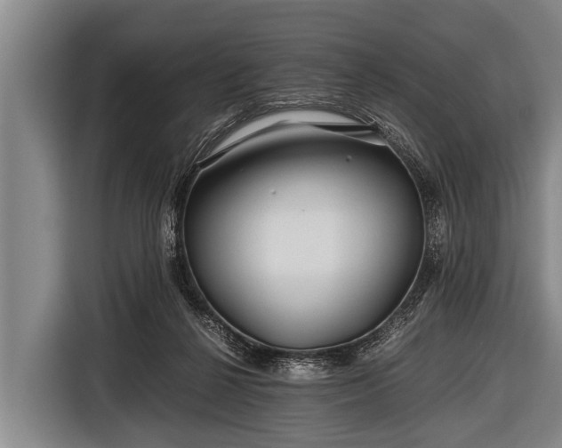 X0000116800264200912241207