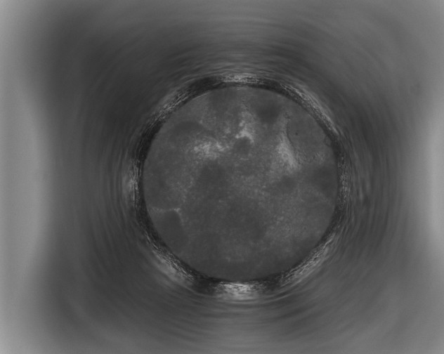 X0000116800265200912241207