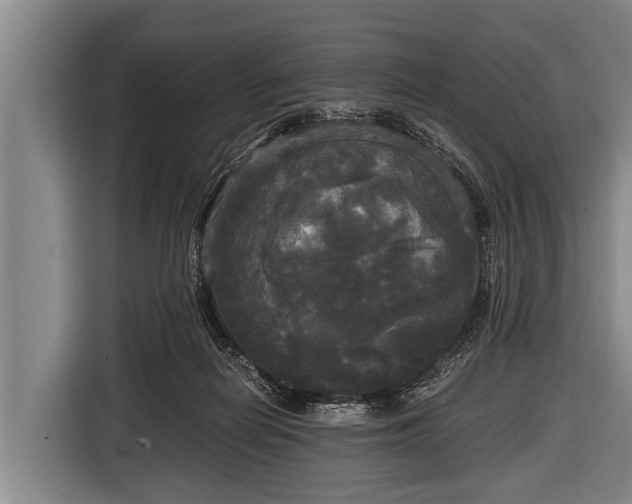 X0000116800266200912241207