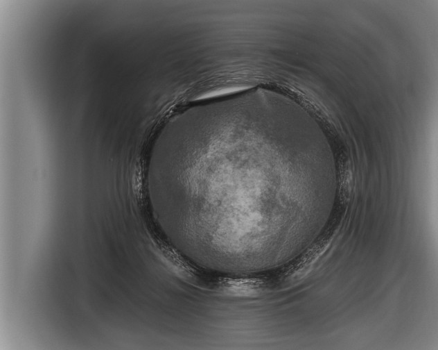 X0000116800268200912241207