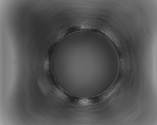 X0000116800269200912241207