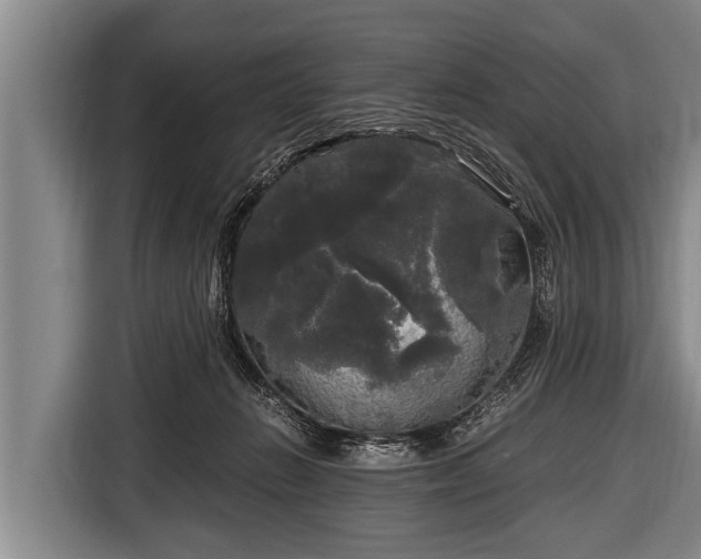 X0000116800270200912241207