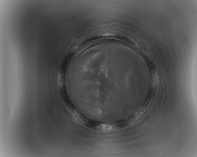 X0000116800272200912241207