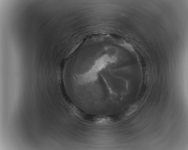 X0000116800274200912241207