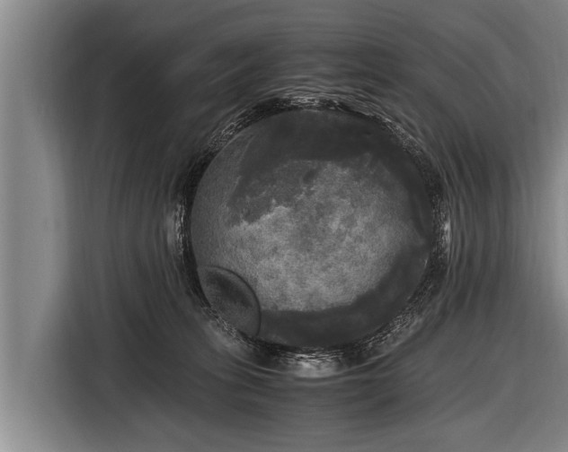 X0000116800275200912241207