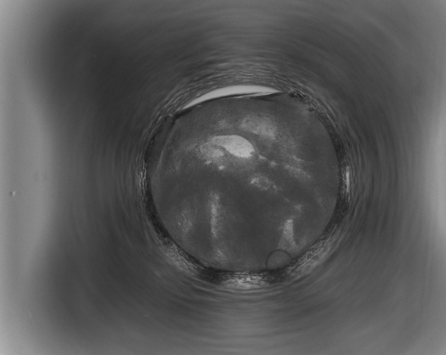 X0000116800278200912241207