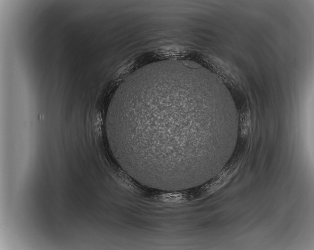 X0000116800279200912241207