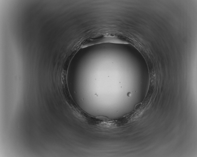 X0000116800280200912241207