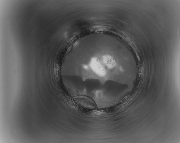 X0000116800283200912241207