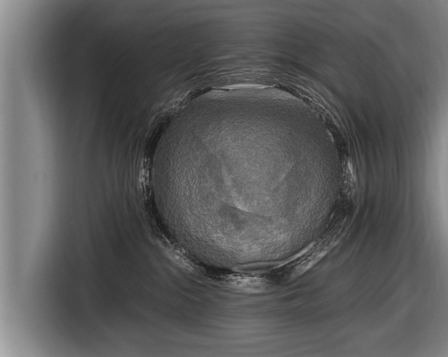 X0000116800284200912241207