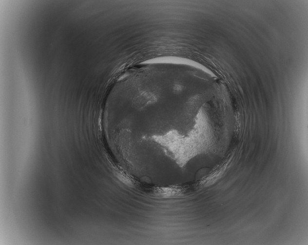 X0000116800286200912241207