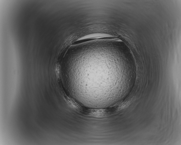 X0000116800288200912241207