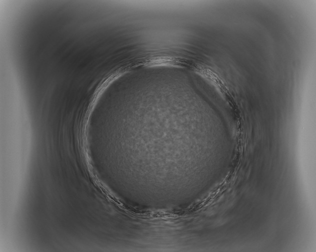 X0000116800289200912241207