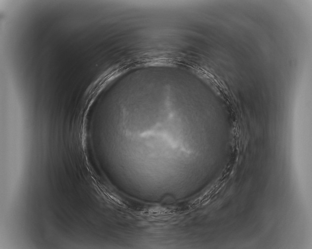 X0000116800290200912241207