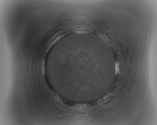 X0000116800291200912241207