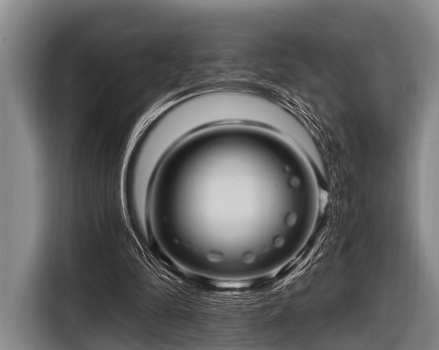 X0000116800294200912241206