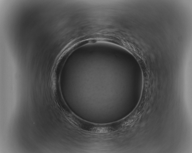 X0000116800295200912241206