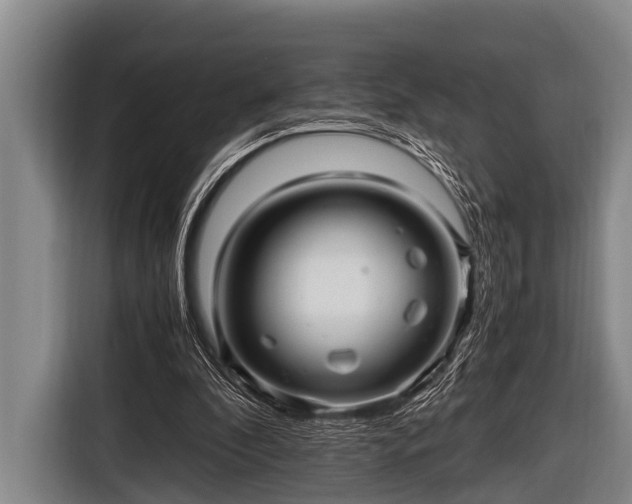 X0000116800296200912241206