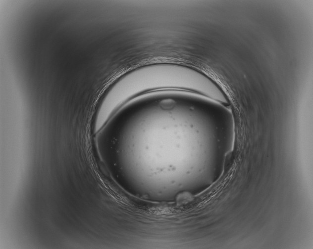 X0000116800297200912241206