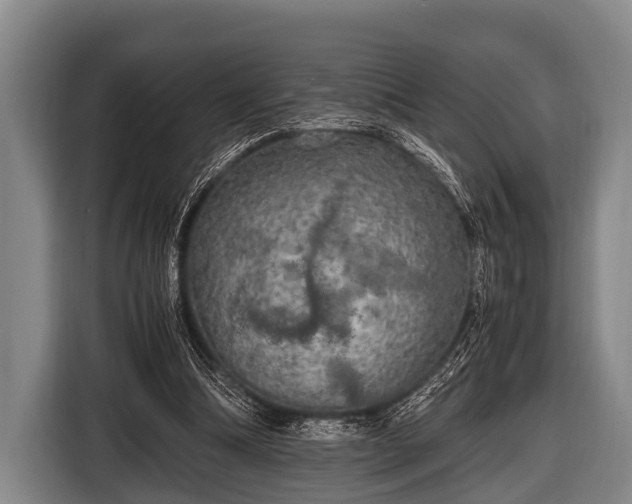 X0000116800298200912241206