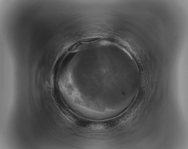 X0000116800299200912241206