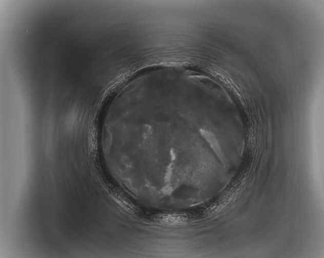 X0000116800303200912241206