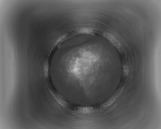 X0000116800304200912241206