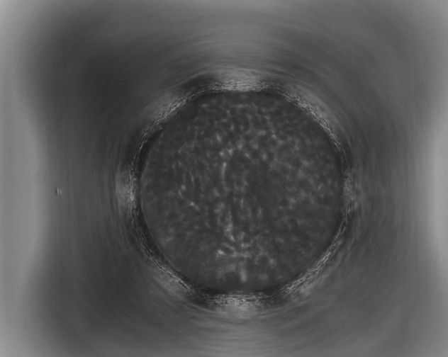 X0000116800305200912241206