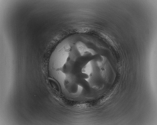 X0000116800307200912241206