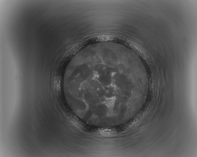 X0000116800315200912241206