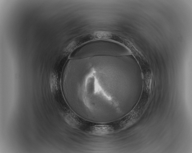 X0000116800316200912241206