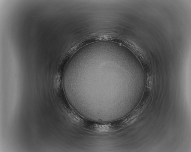 X0000116800318200912241206