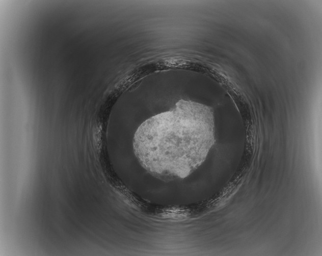 X0000116800319200912241206