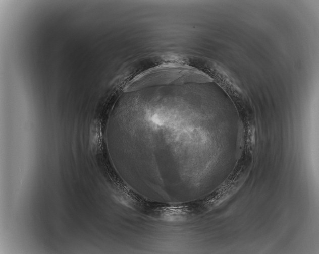 X0000116800320200912241206