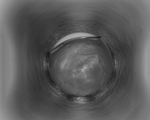 X0000116800324200912241206