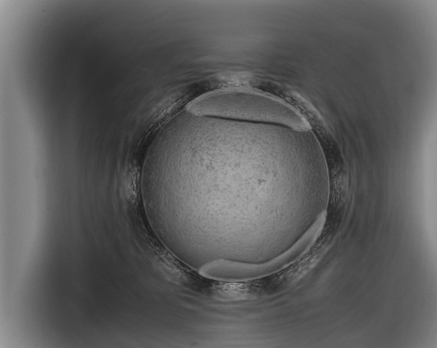 X0000116800325200912241206