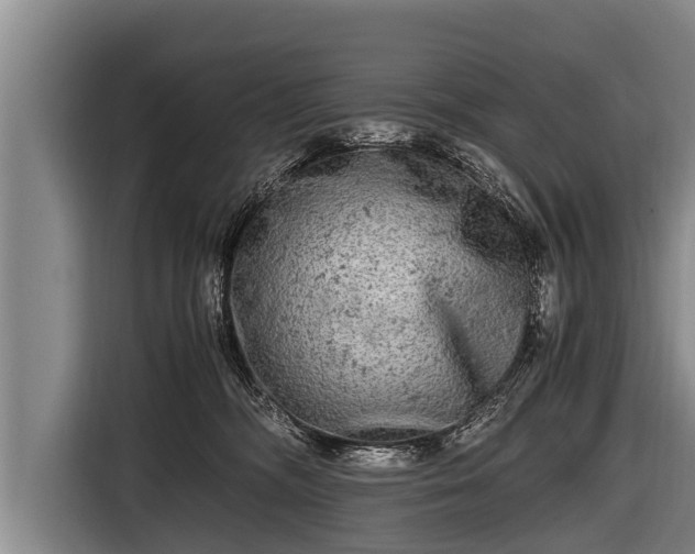 X0000116800326200912241206