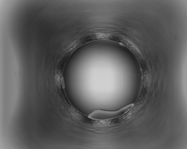 X0000116800329200912241206