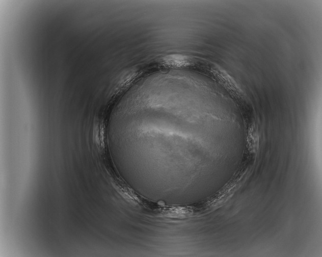 X0000116800330200912241206