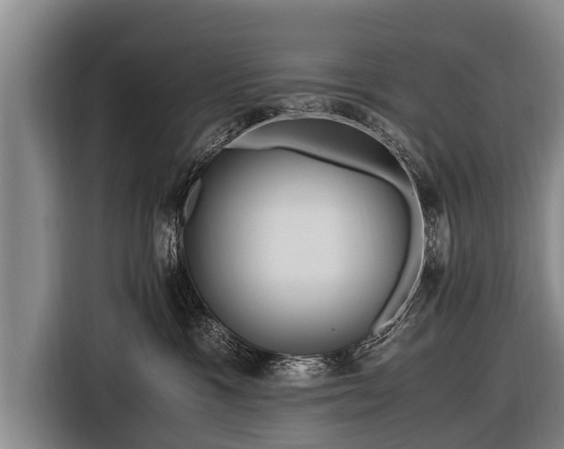 X0000116800333200912241206