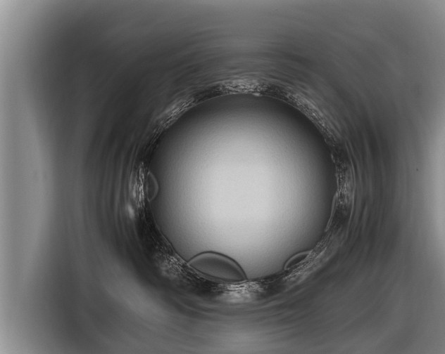 X0000116800334200912241206