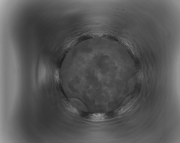 X0000116800335200912241206