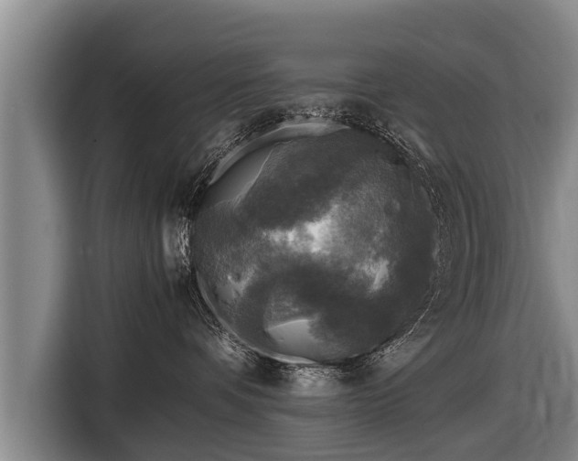 X0000116800336200912241206