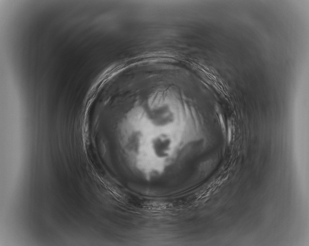 X0000116800339200912241205