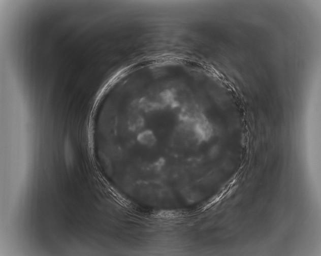 X0000116800341200912241205