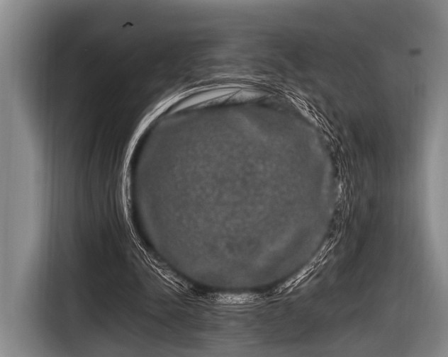 X0000116800342200912241205