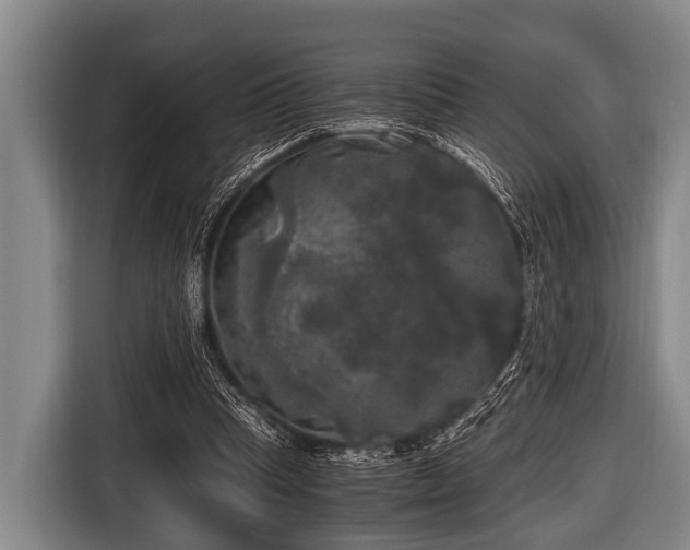 X0000116800345200912241205