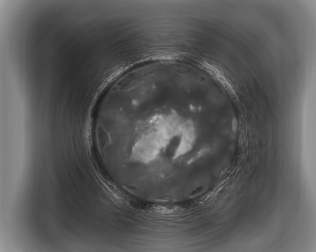 X0000116800346200912241205