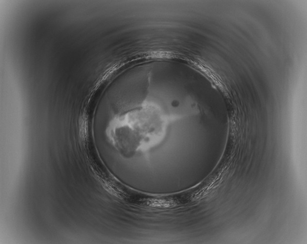 X0000116800347200912241205